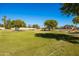 Expansive green park with mature trees and playground at 3914 W Ivanhoe St, Chandler, AZ 85226