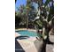Beautiful backyard features a pristine pool and spa surrounded by lush, desert landscaping with a cactus at 1201 E Le Marche Ave, Phoenix, AZ 85022