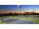 Well-lit pickleball and tennis courts at 27478 W Tonopah Dr, Buckeye, AZ 85396