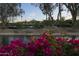 Charming exterior view by the water with vibrant flowers and mountain views in the background at 2626 E Arizona Biltmore Cir # 40, Phoenix, AZ 85016