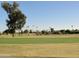 Landscaped golf course with mature trees at 10076 W Lancaster Dr, Sun City, AZ 85351