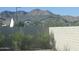 Landscaped backyard with mountain views at 20475 E Indiana Ave, Queen Creek, AZ 85142