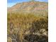 Image showing desert brush and plants near mountains at 20475 E Indiana Ave, Queen Creek, AZ 85142