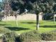 Landscaped lawn with stone wall and lush trees at 20475 E Indiana Ave, Queen Creek, AZ 85142