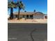 Charming single-story home with a well-maintained front yard and mature palm trees at 1302 W Estrella Dr, Chandler, AZ 85224