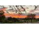 Gorgeous fiery sunset view overlooking trees and houses, creating a beautiful and tranquil ambiance at 6162 E Redmont Dr, Mesa, AZ 85215