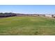 Large grassy area perfect for recreation at 9121 N 173Rd Ln, Waddell, AZ 85355