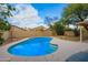 Stunning kidney shaped pool with a large backyard at 4850 W Erie St, Chandler, AZ 85226