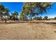 Picnic area with tables under large trees in a park setting at 6511 E Presidio Rd, Scottsdale, AZ 85254