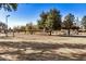 Sand volleyball court with net, surrounded by trees and picnic tables at 6511 E Presidio Rd, Scottsdale, AZ 85254