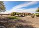 Beautiful desert home featuring a putting green, palm trees, and patio at 19517 W Huron Ln, Buckeye, AZ 85326