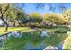 Serene community pond with bridge and lush greenery at 2067 W Periwinkle Way, Chandler, AZ 85248