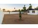 Large backyard with newly planted shrubs and a white block wall at 7316 W Carol Ave, Peoria, AZ 85345