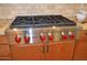 Stainless steel gas cooktop with red knobs at 13204 W Palo Verde Dr, Litchfield Park, AZ 85340