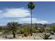 Scenic street view featuring native palms, cactus and landscaping with desert mountains in the distance at 25609 N Forest Rd # 13, Rio Verde, AZ 85263
