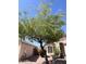 Landscaped front yard with a mature tree, bench, and well-kept garden in front of the charming home at 12742 W Ash St, El Mirage, AZ 85335