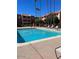 Sparkling community pool with lounge chairs and palm trees at 540 N May St # 2109, Mesa, AZ 85201