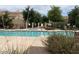 Community pool with a jacuzzi and seating areas surrounded by mature trees and vegetation at 3576 N Carlton St, Buckeye, AZ 85396