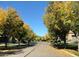 Neighborhood street lined with mature trees with yellow leaves under a bright blue sky at 3576 N Carlton St, Buckeye, AZ 85396
