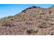 Image shows a rocky desert landscape with cacti at 27112 N 148Th Dr, Surprise, AZ 85387