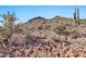 Image shows a desert landscape with cacti and rocky terrain at 27112 N 148Th Dr, Surprise, AZ 85387