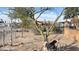 Landscaped backyard with mature trees and decorative features at 3155 S 127Th Ave, Avondale, AZ 85323