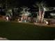 Landscaped backyard at night with palm trees and decorative lighting at 8336 E Sunnyside Dr, Scottsdale, AZ 85260