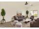Cozy living room with comfortable seating, stylish decor, and large windows for natural light at 10101 E Posada Ave, Mesa, AZ 85212