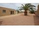 Backyard featuring a desert landscape, a palm tree, and a patio at 9346 E Citrus N Ln, Sun Lakes, AZ 85248