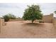 Spacious backyard with desert landscaping, block wall fencing, and a mature shade tree at 9346 E Citrus N Ln, Sun Lakes, AZ 85248