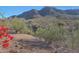 Stunning mountain views from the property at 2343 E Orangewood Ave, Phoenix, AZ 85020