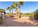 Backyard with palm trees and golf course view at 5022 E Magic Stone Dr, Phoenix, AZ 85044