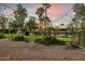 String lights illuminate the backyard, showing a main house and lawn at 6501 E Cholla St, Scottsdale, AZ 85254