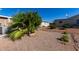 Landscaped backyard with gravel, mature trees, and desert plants, perfect for low-maintenance enjoyment at 215 N Power Rd # 361, Mesa, AZ 85205