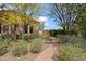 Charming walkway, mature trees, and lush landscaping enhance the curb appeal of this lovely home at 6322 E Turquoise Ave, Paradise Valley, AZ 85253