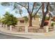 Ranch style home with mature trees and landscaped yard at 2546 E Hale St, Mesa, AZ 85213