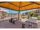 Community picnic area with tables and benches at 2955 N Augustine --, Mesa, AZ 85207