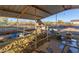 Horse in a stall with fence and metal roof at 10120 E Mclellan Rd, Mesa, AZ 85207