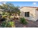 Landscaped backyard with mature trees and desert plants at 20103 N 265Th Ave, Buckeye, AZ 85396