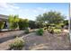 Landscaped backyard with desert plants and gravel at 20103 N 265Th Ave, Buckeye, AZ 85396