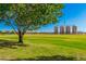 Expansive grassy area with mature trees and grain silos at 3901 E Sagebrush St, Gilbert, AZ 85296