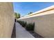 Side yard walkway with decorative rock and manicured plants at 629 E Myrtle Ave, Phoenix, AZ 85020