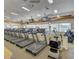 Well-equipped gym featuring treadmills, weight machines, and other cardio equipment at 24404 S Boxwood Dr, Sun Lakes, AZ 85248