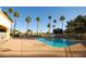 Community pool with lounge chairs and palm trees at 24404 S Boxwood Dr, Sun Lakes, AZ 85248