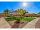 Beautiful exterior lawn and landscaping with colorful trees and a bright sunny sky at 1335 E June St # 239, Mesa, AZ 85203