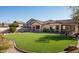 Artificial turf backyard with large grassy area at 2430 W Horsetail Trl, Phoenix, AZ 85085