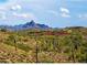 Scenic desert landscape with mature cacti and mountain views in the background on a sunny day with scattered clouds at 14645 N Fountain Hills Blvd # 114, Fountain Hills, AZ 85268