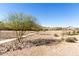 Community walking path lined with trees provides a tranquil setting for residents to enjoy outdoor recreation at 4488 W Charlie Dr, San Tan Valley, AZ 85144