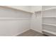 Spacious walk-in closet with carpet, rod and shelf storage at 18544 E Dario Rd, Gold Canyon, AZ 85118