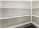 Spacious walk-in pantry features white shelving for ample storage at 18544 E Dario Rd, Gold Canyon, AZ 85118